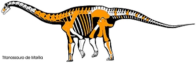 Esqueleto de Dinossauro