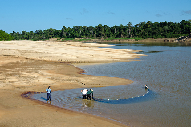 UnB Ciência - Degradação florestal supera desmatamento na Amazônia