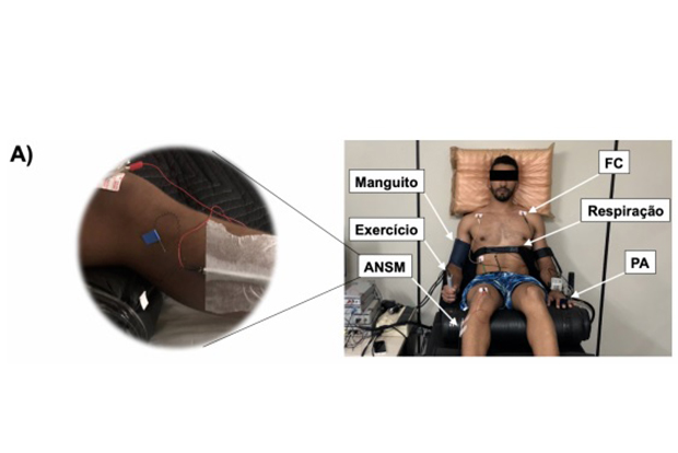 No experimento 2 o voluntário fez uma preensão manual. Crédito: Reprodução/NeuroVASQ